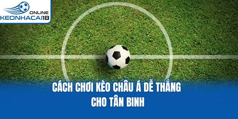 Cách chơi kèo châu Á dễ thắng cho tân binh