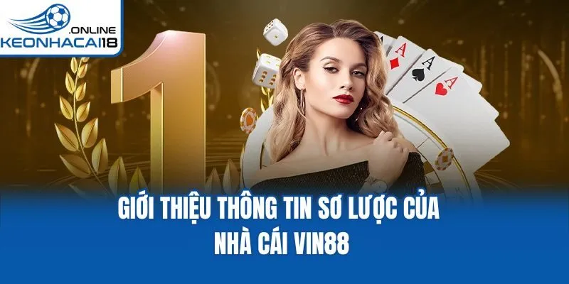 Giới thiệu thông tin sơ lược của nhà cái Vin88